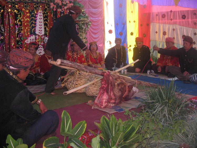 pelangu/hodanga