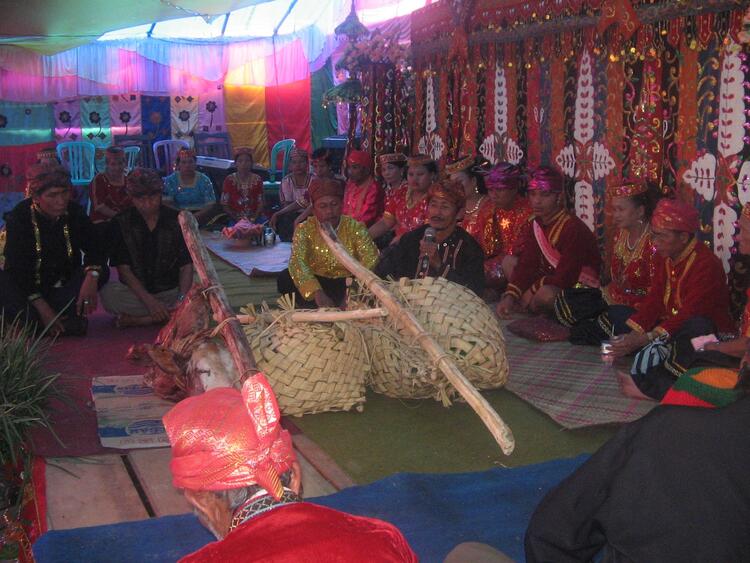 pelangu