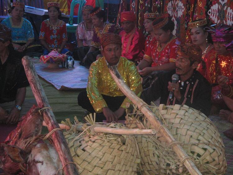 pelangu